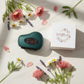 Wildflower Beauty - Flat Lay Floral